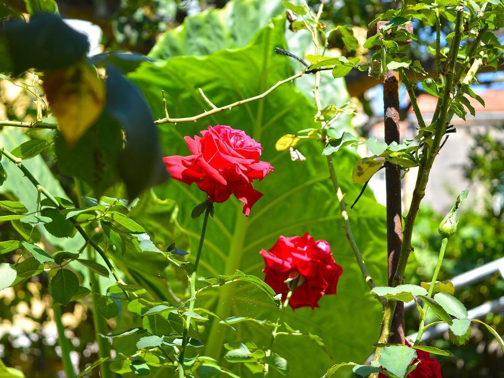 The Secret Garden Relais Hotel Piano di Sorrento Ngoại thất bức ảnh
